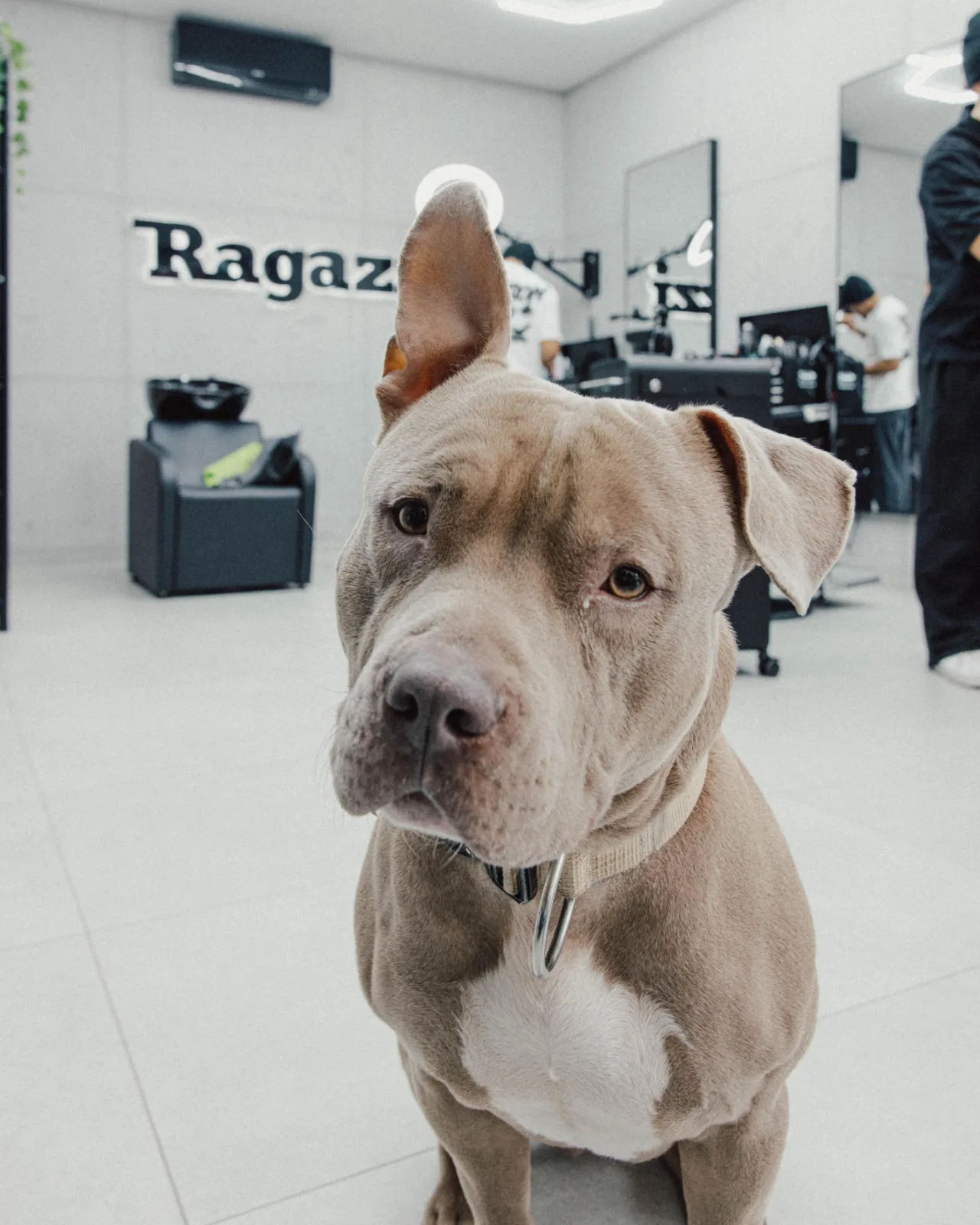 Ragazzi Mannheim Chapo